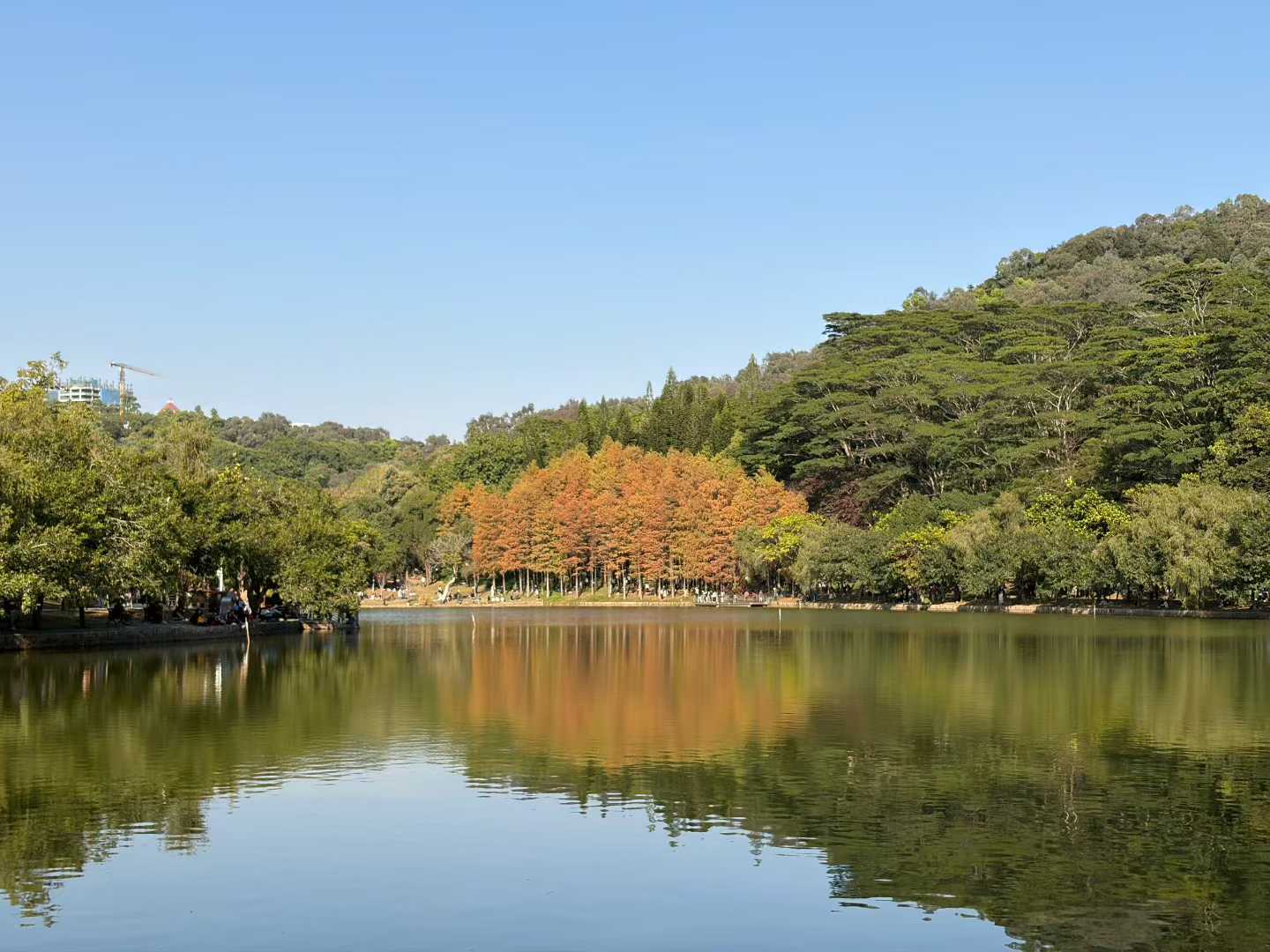 莲花山的多彩湖景