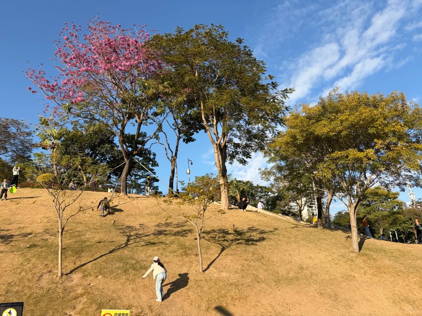 春节9天假期🏮
