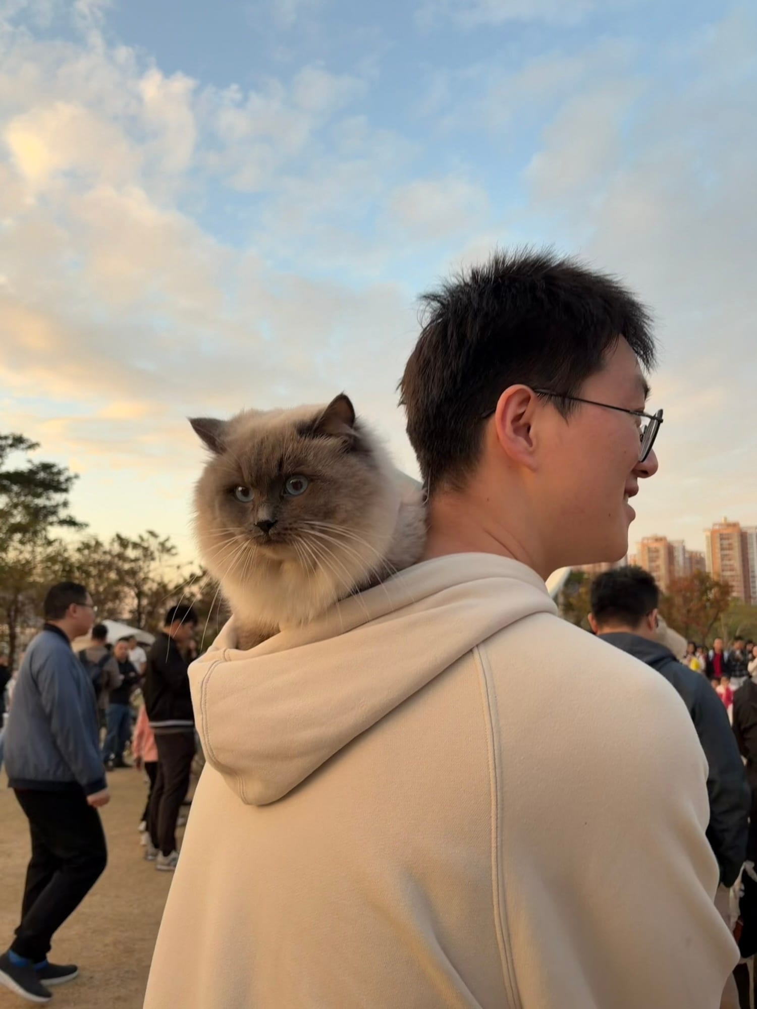 猫咪是世界的主人🐾